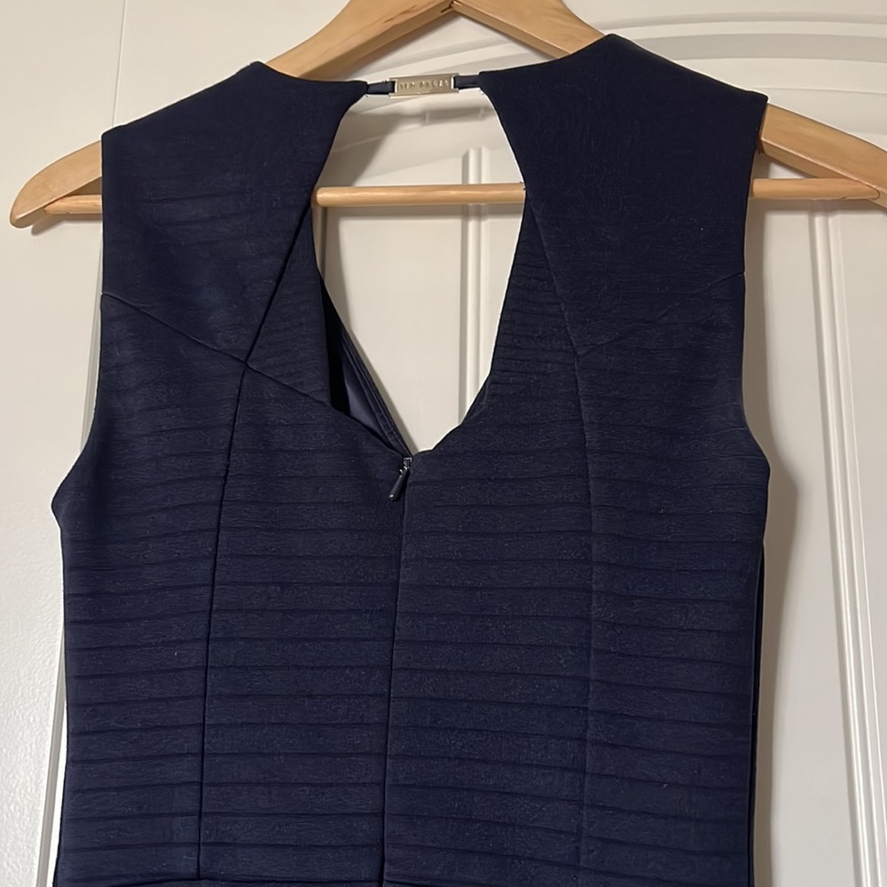 Ted Baker Navy Dress - Picture 7 of 11